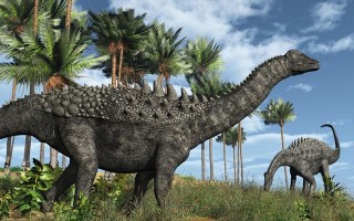 中科院科学家疑似发现恐龙DNA，却被引起质疑，争论焦点何在？