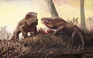 三叠纪时期的恐龙为什么拥有巨大的头部？