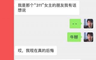 网传的311事件指什么，原来是几段BT的小视频