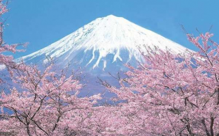 富士山是谁的私人财产：浅间神社（曾经是德川家康的）