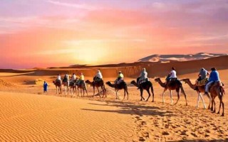 世界上最大的沙漠：非洲北部的撒哈拉沙漠，气候条件极其恶劣