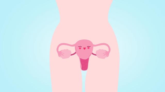 科学家揭示灵长类卵巢衰老特征，可当预警信息-第2张图片-IT新视野