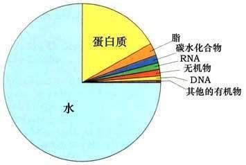 一群远古化石揭开了“先有鸡还是先有蛋”这一千古谜题-第3张图片-IT新视野