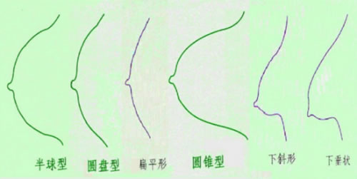 好看美丽的胸部是什么样子：​什么样的胸部最美-第3张图片-IT新视野