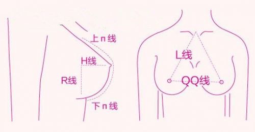 好看美丽的胸部是什么样子：​什么样的胸部最美-第4张图片-IT新视野