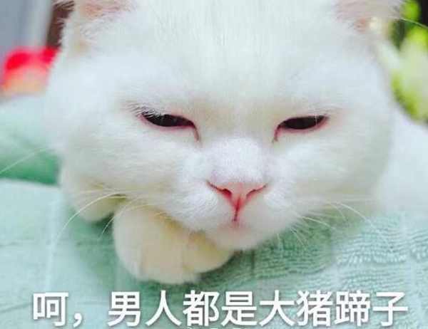 大猪蹄子什么意思？为什么说男人是大猪蹄子-第2张图片-IT新视野