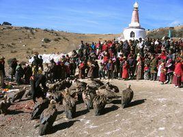 什么是天葬？西藏佛教徒的一种葬礼-第2张图片-IT新视野