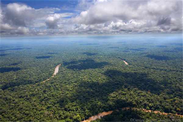 亚马逊森林未解之谜：当地流传着许多诡异传说-第1张图片-IT新视野