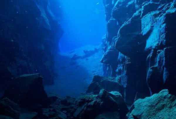 海底最深处有多可怕：压强极大并且有很多深海怪物-第1张图片-IT新视野