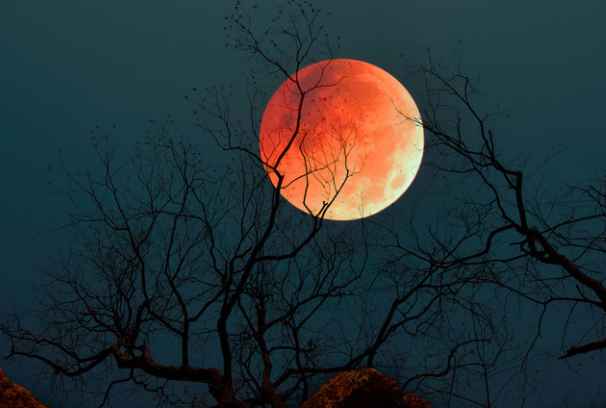 血月是怎么回事：指的是天空中出现红色的月亮-第1张图片-IT新视野